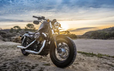 Avis sur la moto Himalayan 411