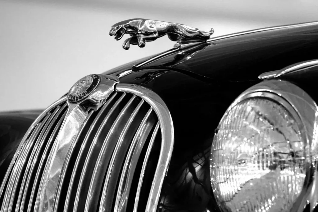 Ornement félin sur capot de voiture ancienne avec calandre verticale, image d’un logo Jaguar d’époque face à sa refonte contemporaine