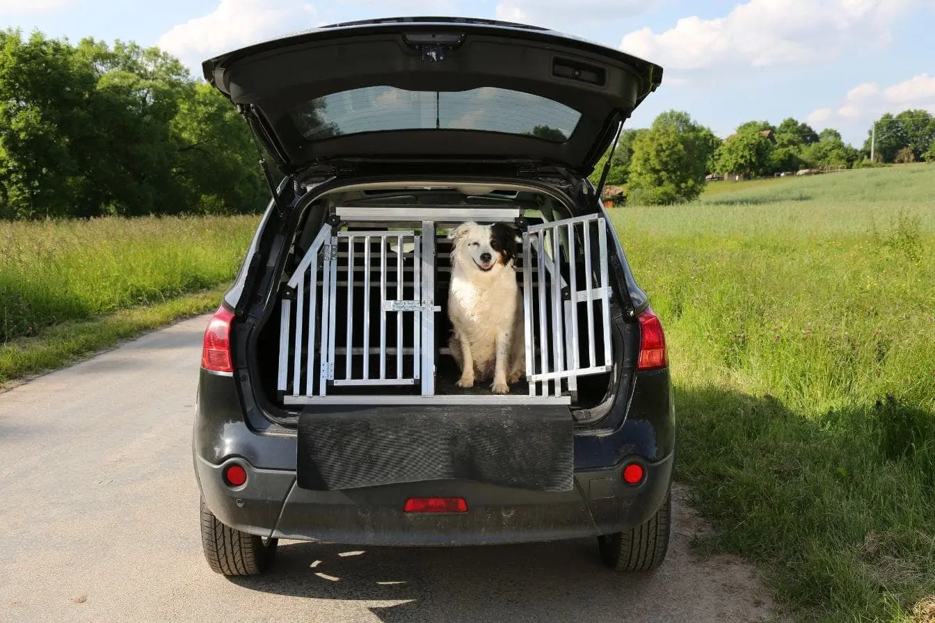 SUV noir garé sur route rurale avec coffre ouvert montrant une cage métallique servant de grille de séparation pour transporter un chien en sécurité
